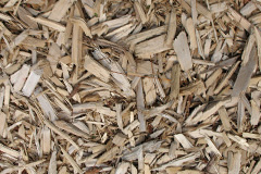biomass boilers Shepherds Patch